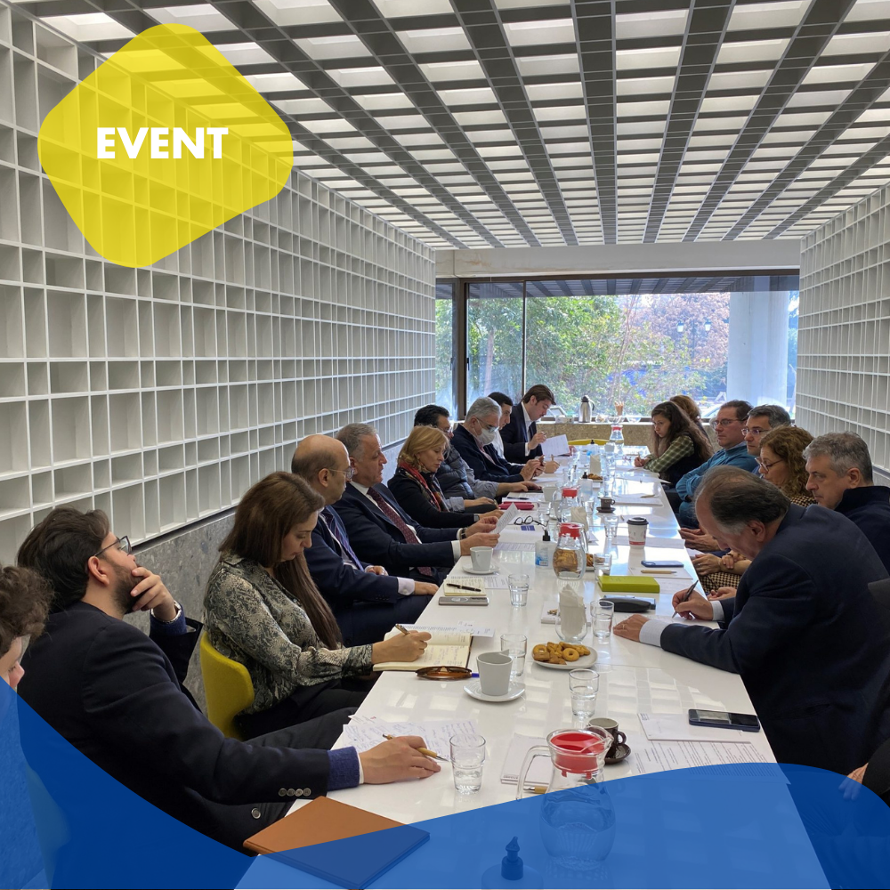 Dr. Panagiota Manoli Joins Roundtable on EU-Armenia Relations