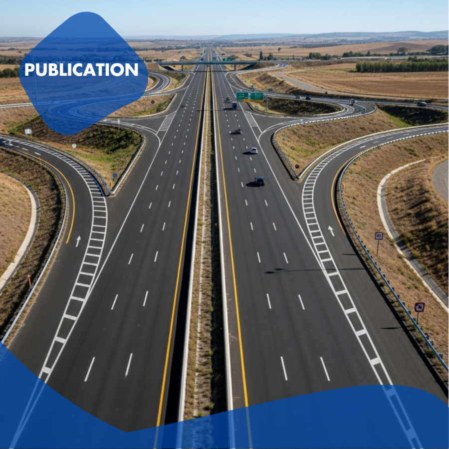 D3.3 Case study I Paving over Procedure: Corrosive Capital in Transport Infrastructure